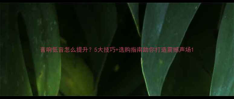 图片 音响低音怎么提升？5大技巧+选购指南助你打造震撼声场1