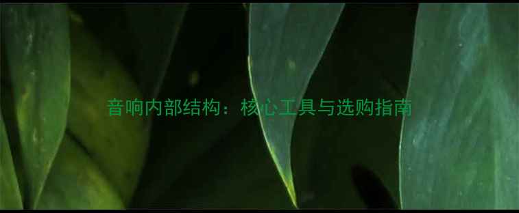图片 音响内部结构：核心工具与选购指南