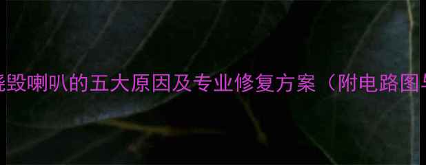 图片 音响分频器烧毁喇叭的五大原因及专业修复方案（附电路图与选购指南）