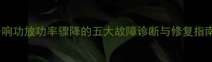 图片 音响功放功率骤降的五大故障诊断与修复指南2