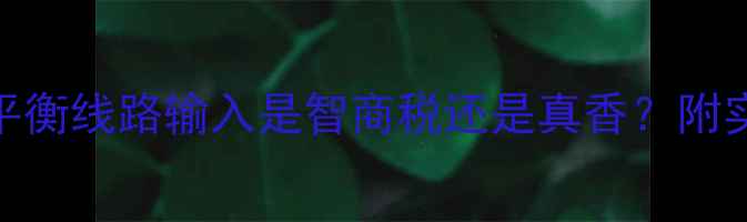 图片 音响发烧友必看功放平衡线路输入是智商税还是真香？附实测对比与选购指南！