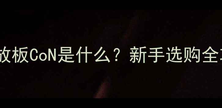 图片 音响发烧友必看！功放板CoN是什么？新手选购全攻略（附品牌对比）1