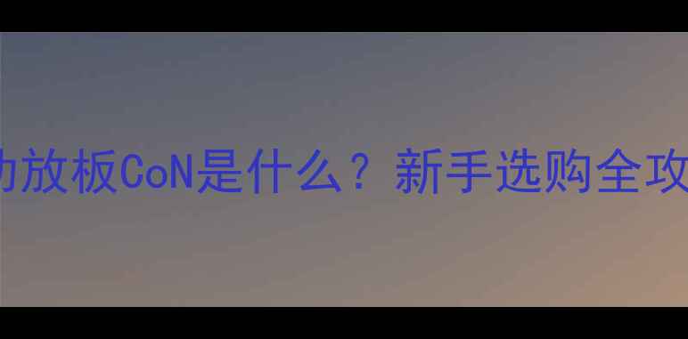 图片 音响发烧友必看！功放板CoN是什么？新手选购全攻略（附品牌对比）2