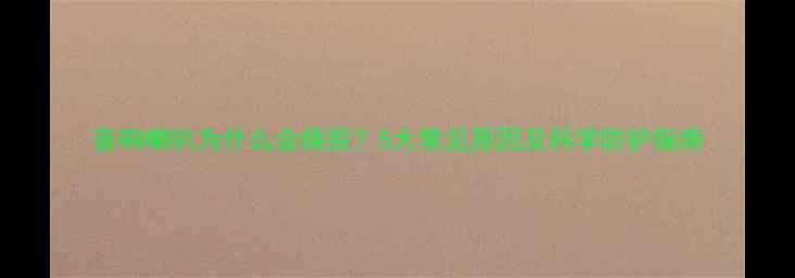 图片 音响喇叭为什么会烧毁？5大常见原因及科学防护指南
