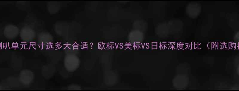图片 音响喇叭单元尺寸选多大合适？欧标VS美标VS日标深度对比（附选购指南）