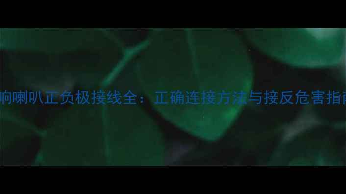 图片 音响喇叭正负极接线全：正确连接方法与接反危害指南1