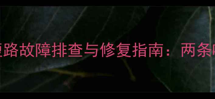 图片 音响喇叭线同时短路故障排查与修复指南：两条喇叭线故障处理全