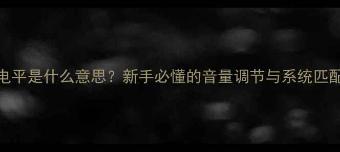 图片 音响电平是什么意思？新手必懂的音量调节与系统匹配指南