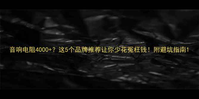 图片 音响电阻4000+？这5个品牌推荐让你少花冤枉钱！附避坑指南1