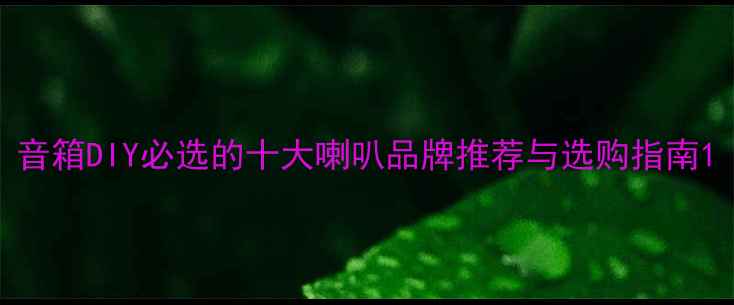 图片 音箱DIY必选的十大喇叭品牌推荐与选购指南1