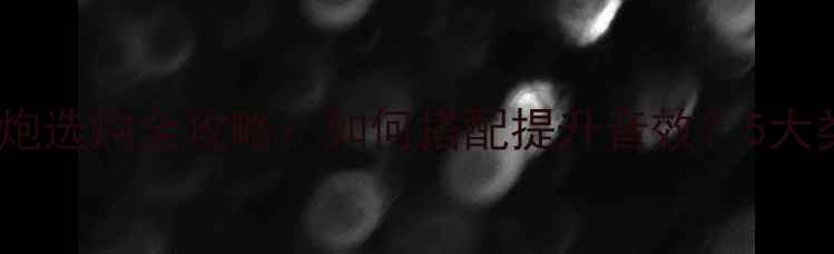 图片 音箱低音炮选购全攻略：如何搭配提升音效？5大类型对比1