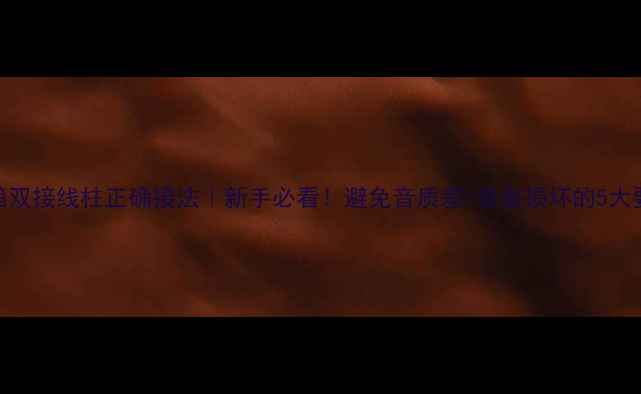 图片 音箱双接线柱正确接法｜新手必看！避免音质差+设备损坏的5大要点