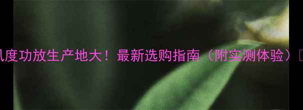 图片 风度功放生产地大！最新选购指南（附实测体验）🎵