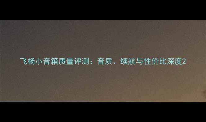 图片 飞杨小音箱质量评测：音质、续航与性价比深度2