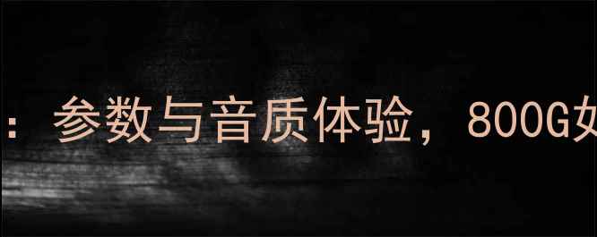 图片 飞达800G功放深度评测：参数与音质体验，800G如何颠覆家用音响市场2
