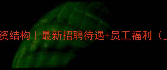 图片 飞达音响薪资结构｜最新招聘待遇+员工福利（上海广州）1