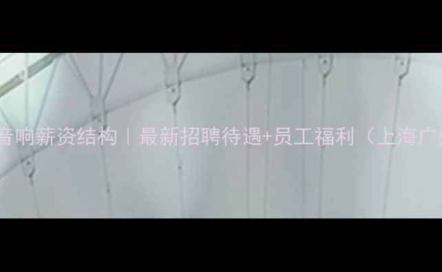 图片 飞达音响薪资结构｜最新招聘待遇+员工福利（上海广州）2