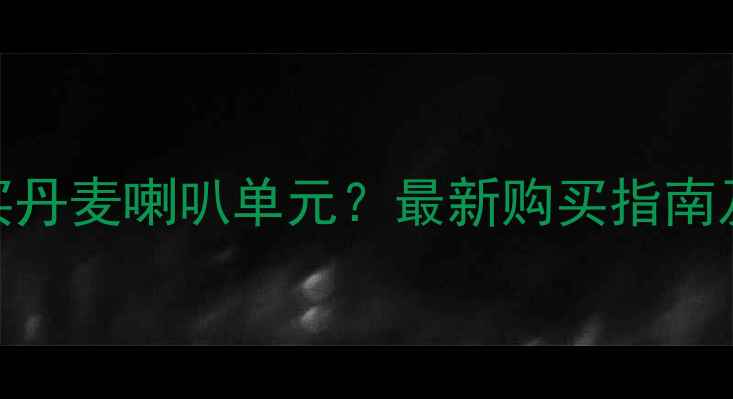 图片 香港哪里买丹麦喇叭单元？最新购买指南及推荐店铺
