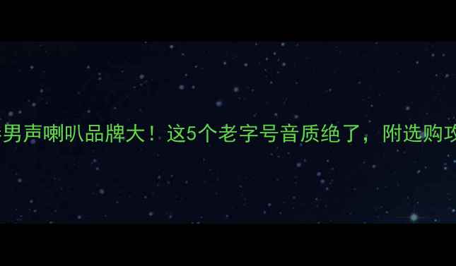 图片 香港男声喇叭品牌大！这5个老字号音质绝了，附选购攻略2