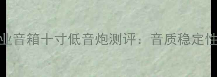 图片 马吉KTV专业音箱十寸低音炮测评：音质稳定性性价比全2