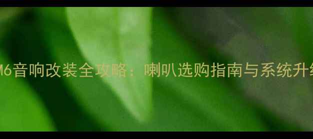 图片 马自达M6音响改装全攻略：喇叭选购指南与系统升级方案1