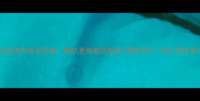 图片 骐达音响升级全攻略｜喇叭更换避坑指南+调音技巧（附工具清单）1