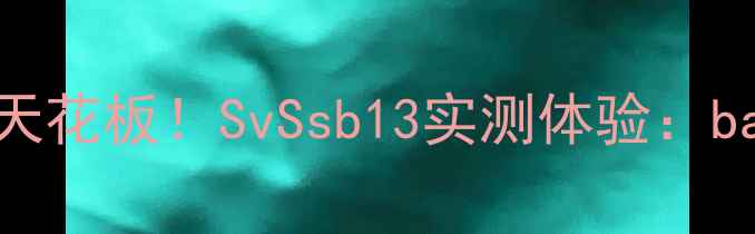 图片 高性价比低音炮天花板！SvSsb13实测体验：bassking来了！🔥