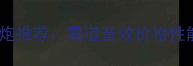 图片 高性价比低音炮推荐：霸道音效价格性能选购指南全2
