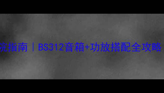 图片 高性价比家庭影院指南｜BS312音箱+功放搭配全攻略（附实测音效）2