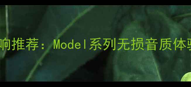 图片 高性价比车载音响推荐：Model系列无损音质体验与安装指南全2