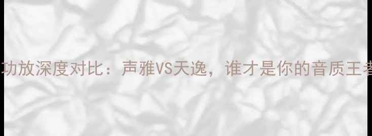 图片 高端功放深度对比：声雅VS天逸，谁才是你的音质王者？2