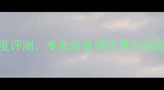 图片 魔雷9寸低音喇叭深度评测：专业级低频还原与家庭影院终极解决方案1