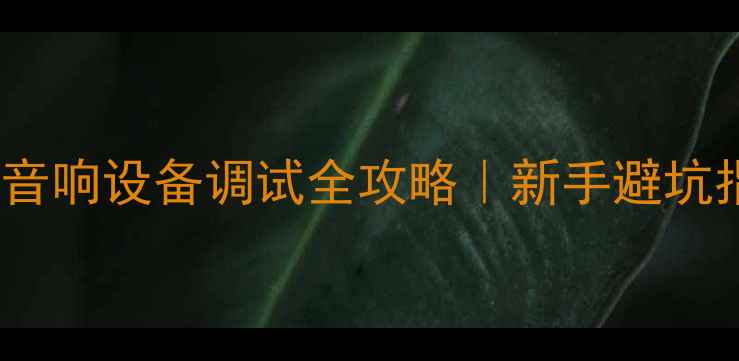 图片 🎤家庭KTV音响设备调试全攻略｜新手避坑指南🔊🎹🎤