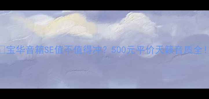 图片 🎧宝华音箱SE值不值得冲？500元平价天籁音质全！