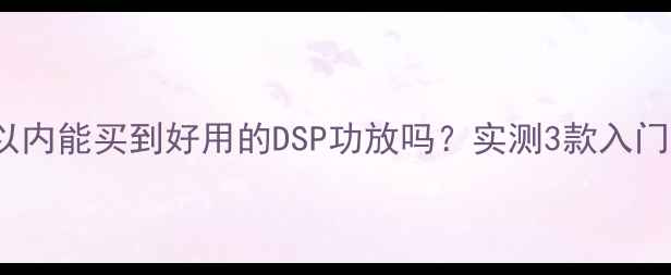 图片 🎵500元以内能买到好用的DSP功放吗？实测3款入门级神器🎵