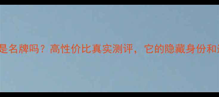 图片 🎵BTS音箱是名牌吗？高性价比真实测评，它的隐藏身份和选购指南🎶