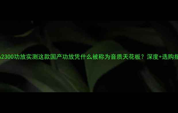 图片 🎵CA2300功放实测这款国产功放凭什么被称为音质天花板？深度+选购指南1