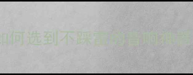 图片 🎵DIY功放vs品牌功放：如何选到不踩雷的音响神器？｜新手必看选购指南🔥