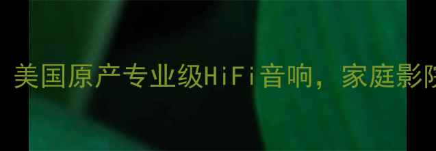 图片 🎵EV全频监听音箱6：美国原产专业级HiFi音响，家庭影院与录音室必备！🎧1
