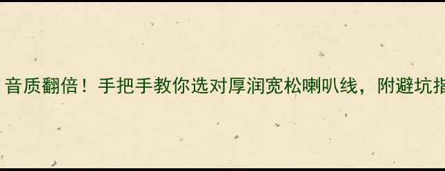 图片 🎵HiFi音质翻倍！手把手教你选对厚润宽松喇叭线，附避坑指南🎵1
