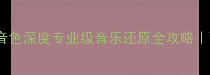 图片 🎵PASSENGERAM功放音色深度专业级音乐还原全攻略｜百元级Hi-Fi新标杆1