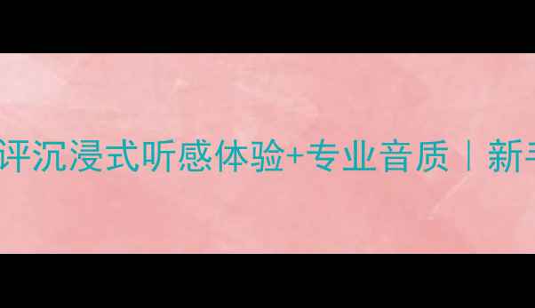 图片 🎵PE2200功放深度测评沉浸式听感体验+专业音质｜新手必看音响器材指南1