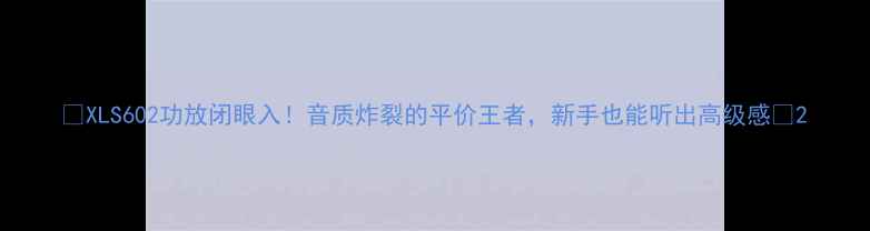 图片 🎵XLS602功放闭眼入！音质炸裂的平价王者，新手也能听出高级感🎶2