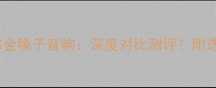 图片 🎵中道音响VS金嗓子音响：深度对比测评！附选购避坑指南2