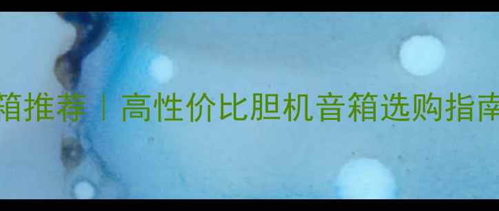 图片 🎵丹麦之声胆机音箱推荐｜高性价比胆机音箱选购指南（附价格参考）🎶