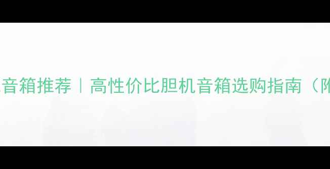 图片 🎵丹麦之声胆机音箱推荐｜高性价比胆机音箱选购指南（附价格参考）🎶1