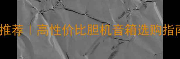 图片 🎵丹麦之声胆机音箱推荐｜高性价比胆机音箱选购指南（附价格参考）🎶2
