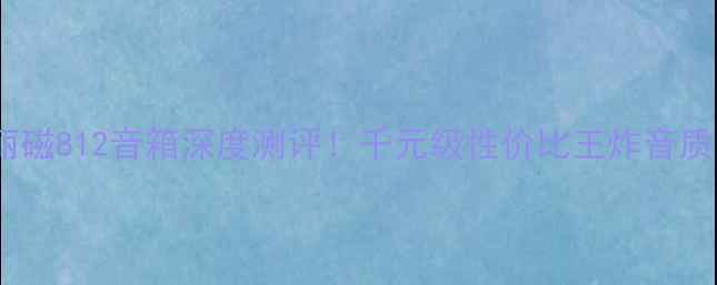 图片 🎵丽磁812音箱深度测评！千元级性价比王炸音质🔥1