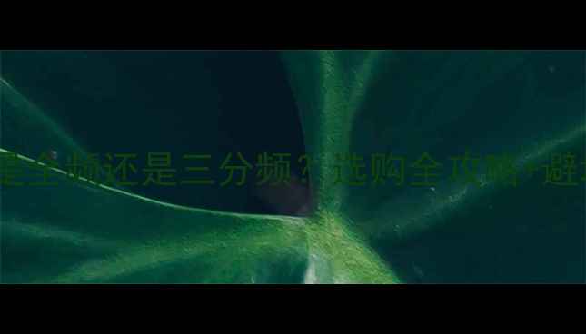 图片 🎵低音炮是全频还是三分频？选购全攻略+避坑指南！2