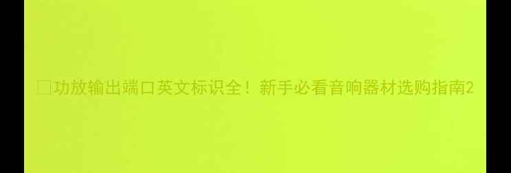 图片 🎵功放输出端口英文标识全！新手必看音响器材选购指南2